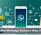 AI Makes WhatsApp Business Setup Easier